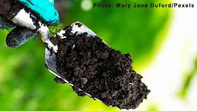 Soil Health